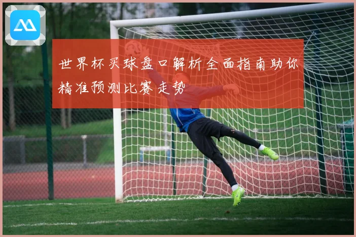 世界杯买球盘口解析全面指南助你精准预测比赛走势