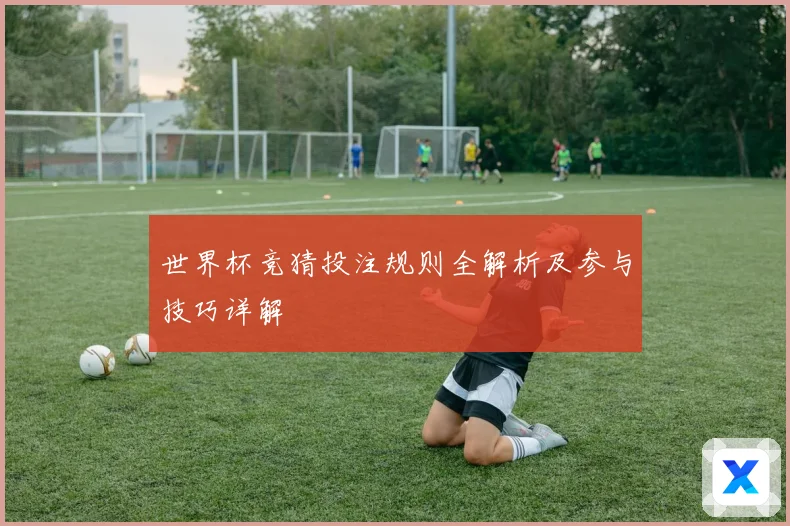 世界杯竞猜投注规则全解析及参与技巧详解